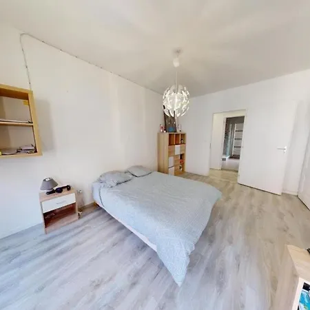 Le Stephanois Cozy Centre-ville Spacieux Apartment Saint-Etienne (Loire)